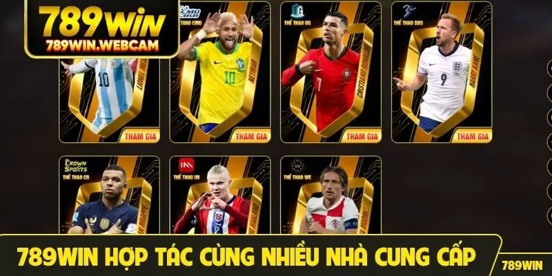 789WIN hợp tác cùng nhiều nhà cung cấp quốc tế