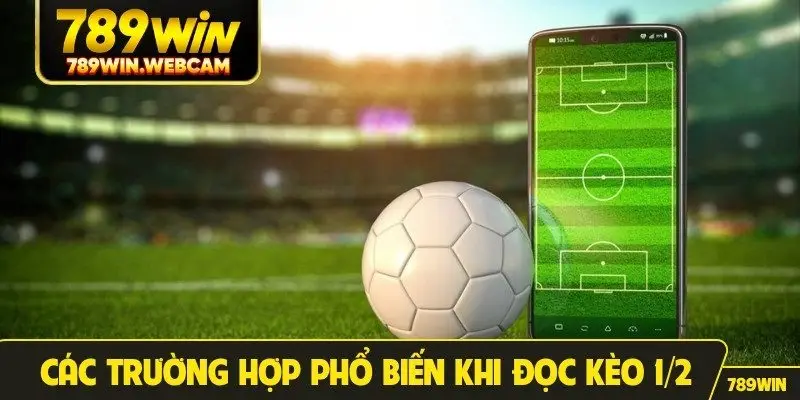 Các trường hợp phổ biến khi đọc kèo 1/2