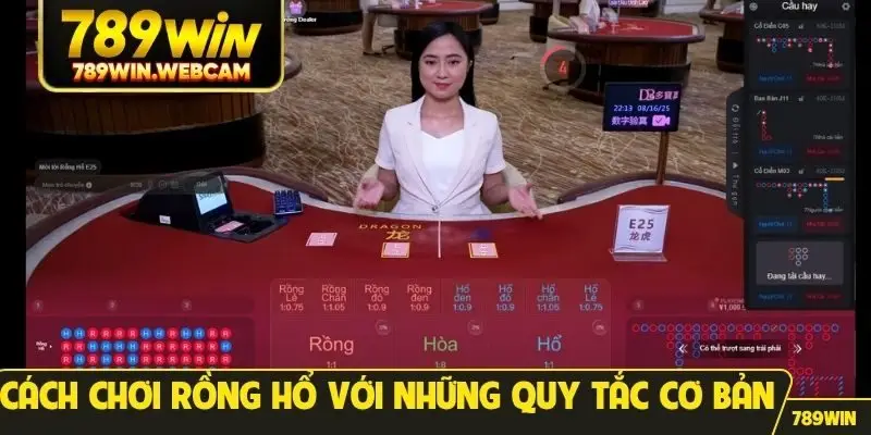 Cách chơi Rồng Hổ với những quy tắc cơ bản