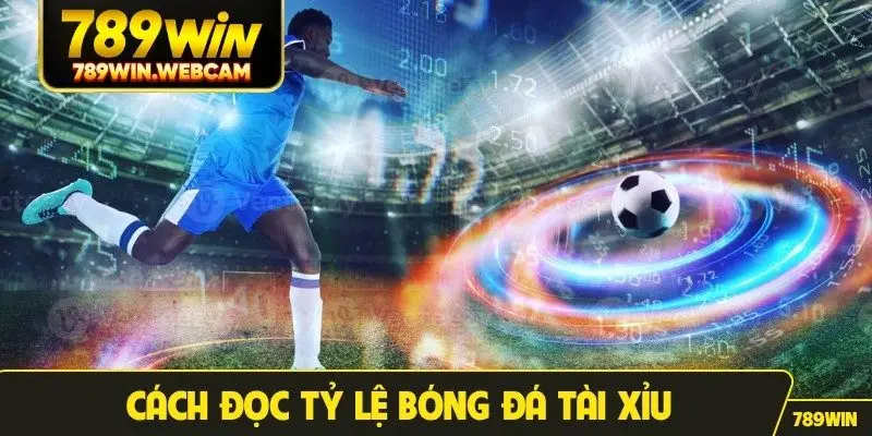 Cách đọc tỷ lệ bóng đá tài xỉu
