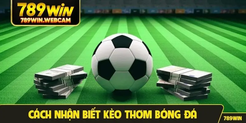 Cách nhận biết kèo thơm bóng đá