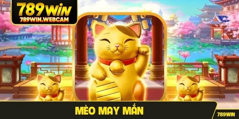 Mèo May Mắn