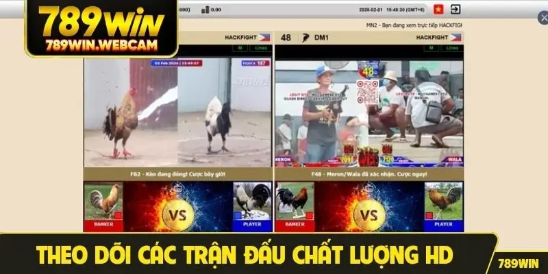 Theo dõi các trận đấu chất lượng HD kịch tính