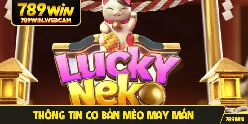 Thông tin cơ bản Mèo May Mắn
